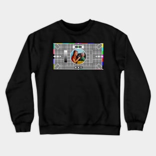 Test card Crewneck Sweatshirt